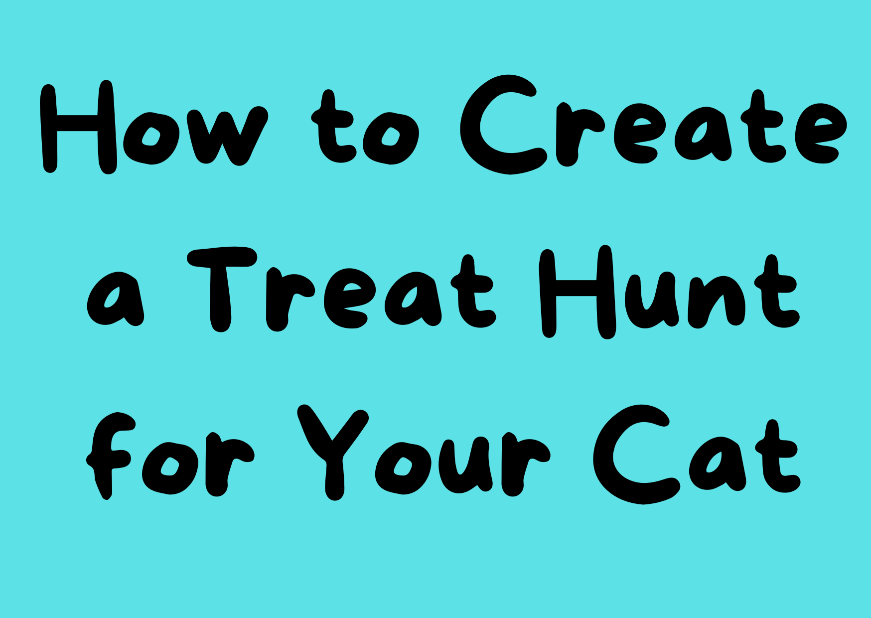 How to Create a Treat Hunt for Your Cat