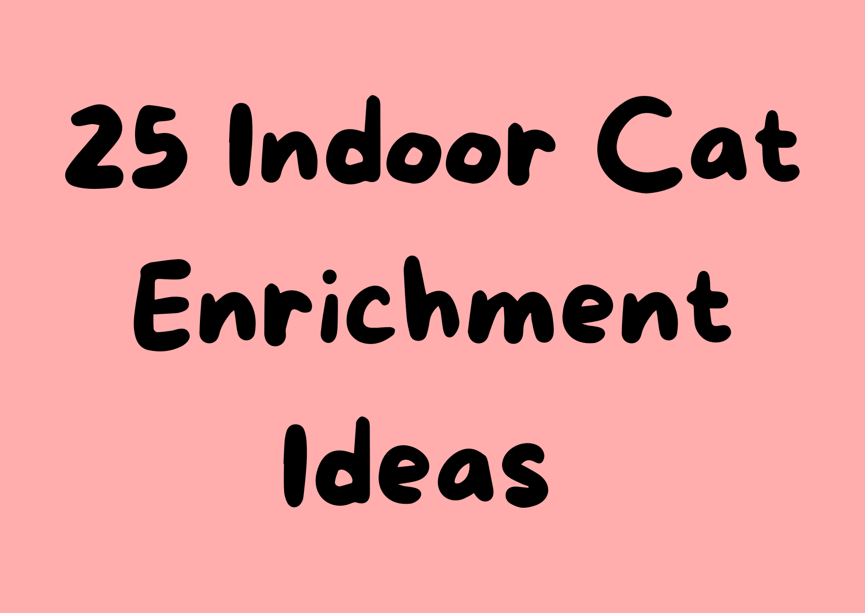 25 Indoor Cat Enrichment Ideas That Are Easy to Try