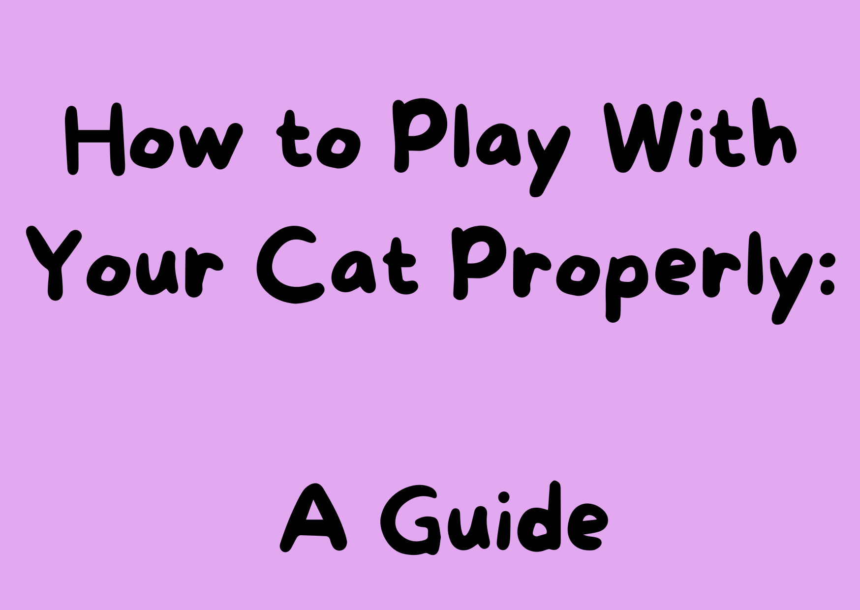How to Play With Your Cat Properly: A Step-by-Step Guide