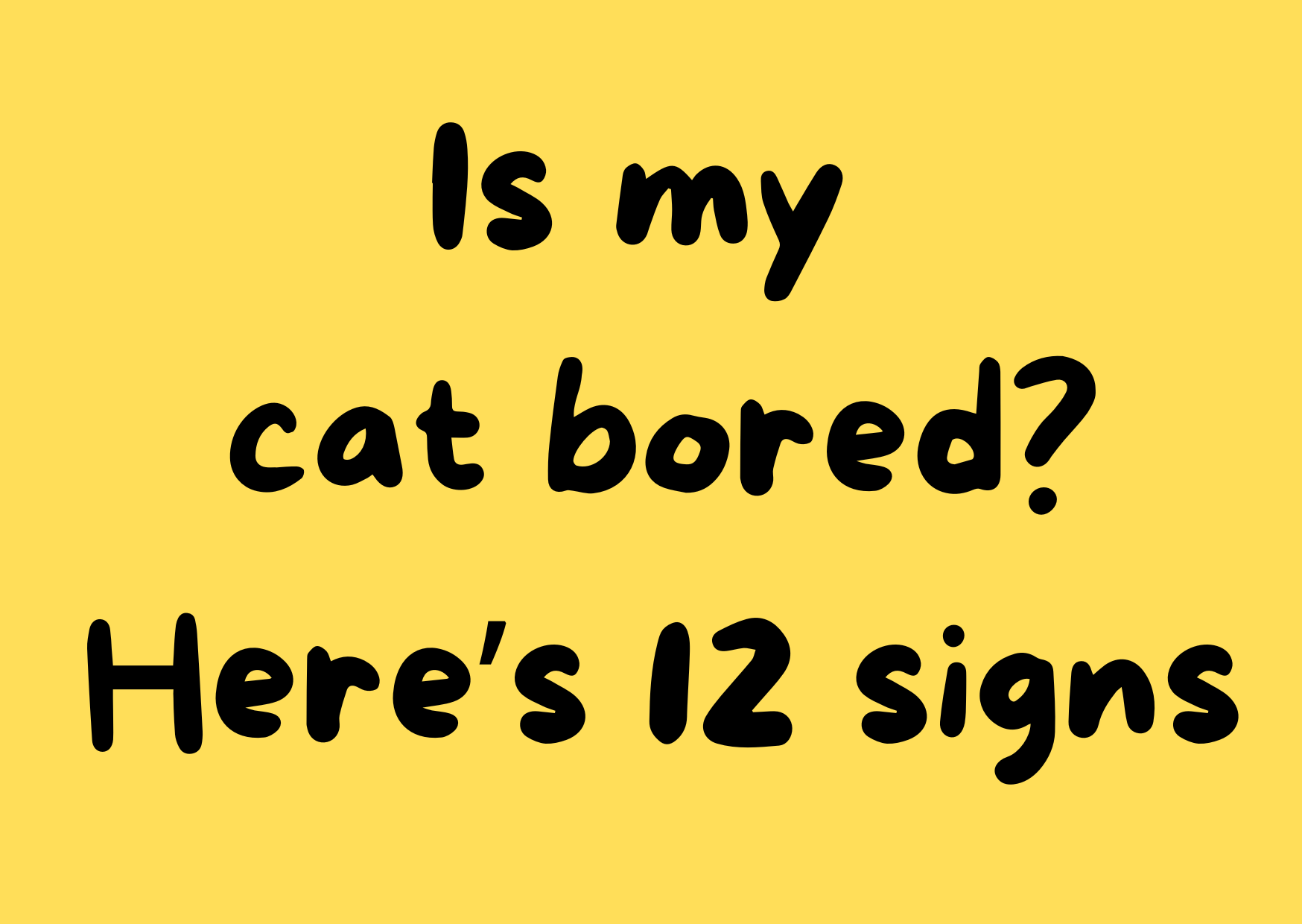 Is My Cat Bored?  Here's 12 signs to look out for