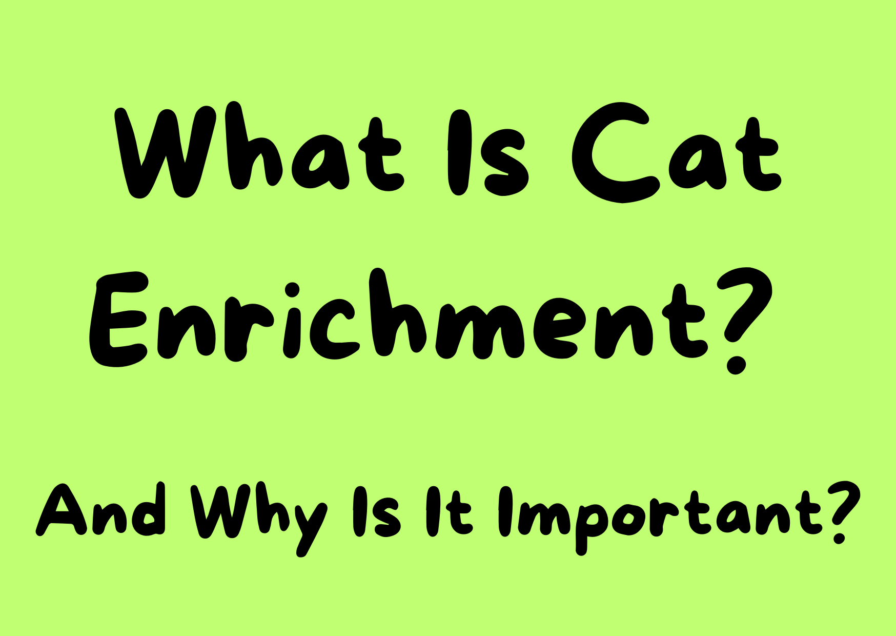 What Is Cat Enrichment and Why Is It Important?