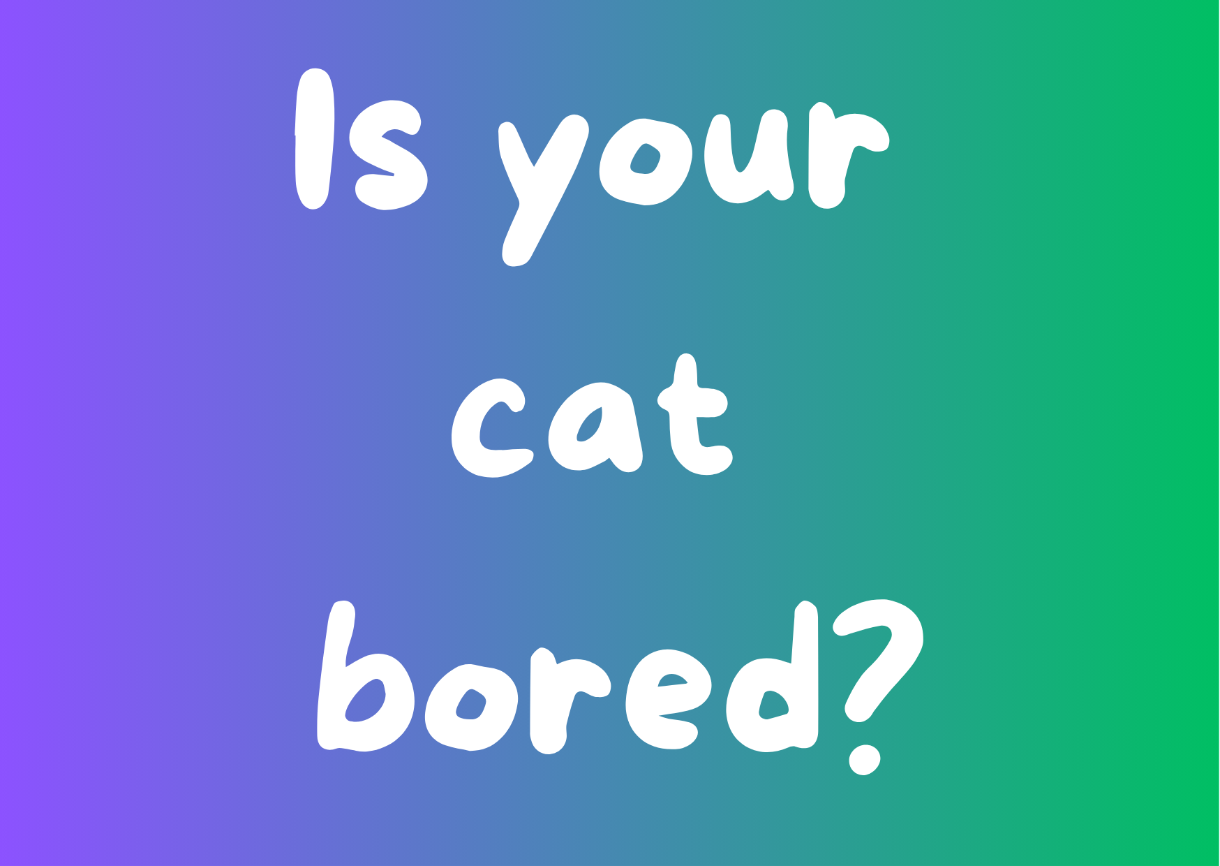 Is Your Cat Bored?