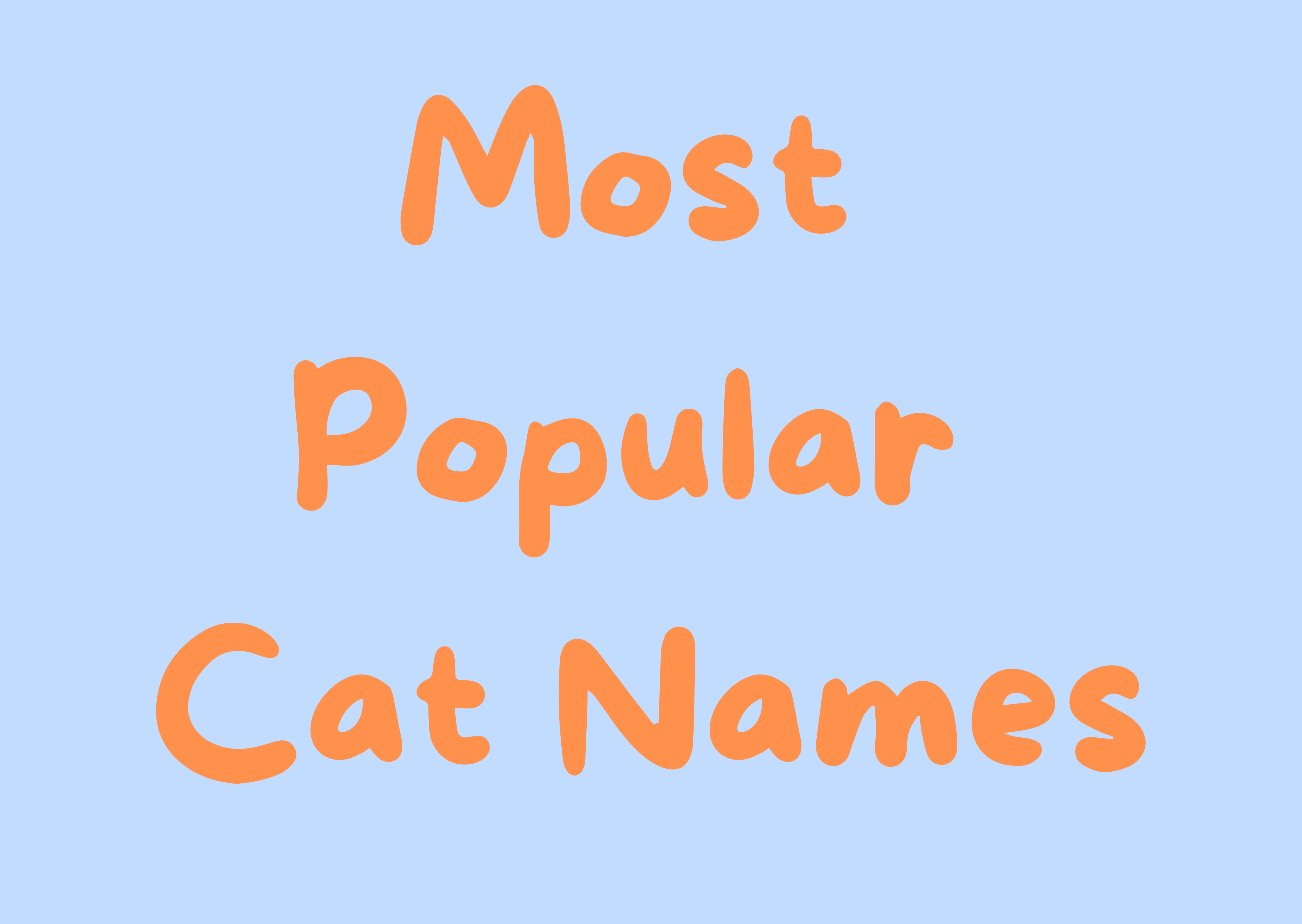 UK Cat Names 2025: Top Picks & What Your Choice Says About You