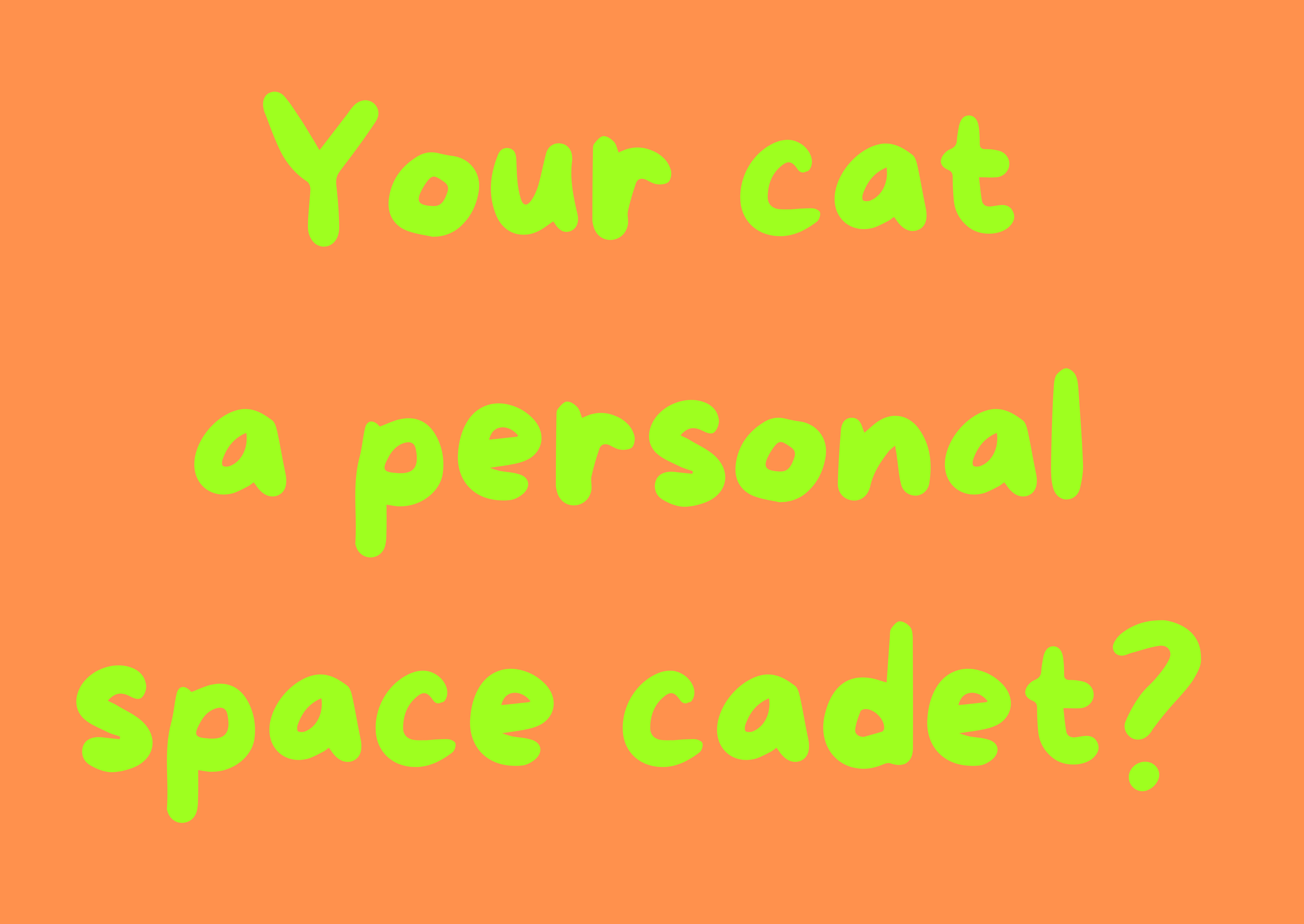 Why Won’t My Cat Come Close to Me? (And How to Win Them Over)