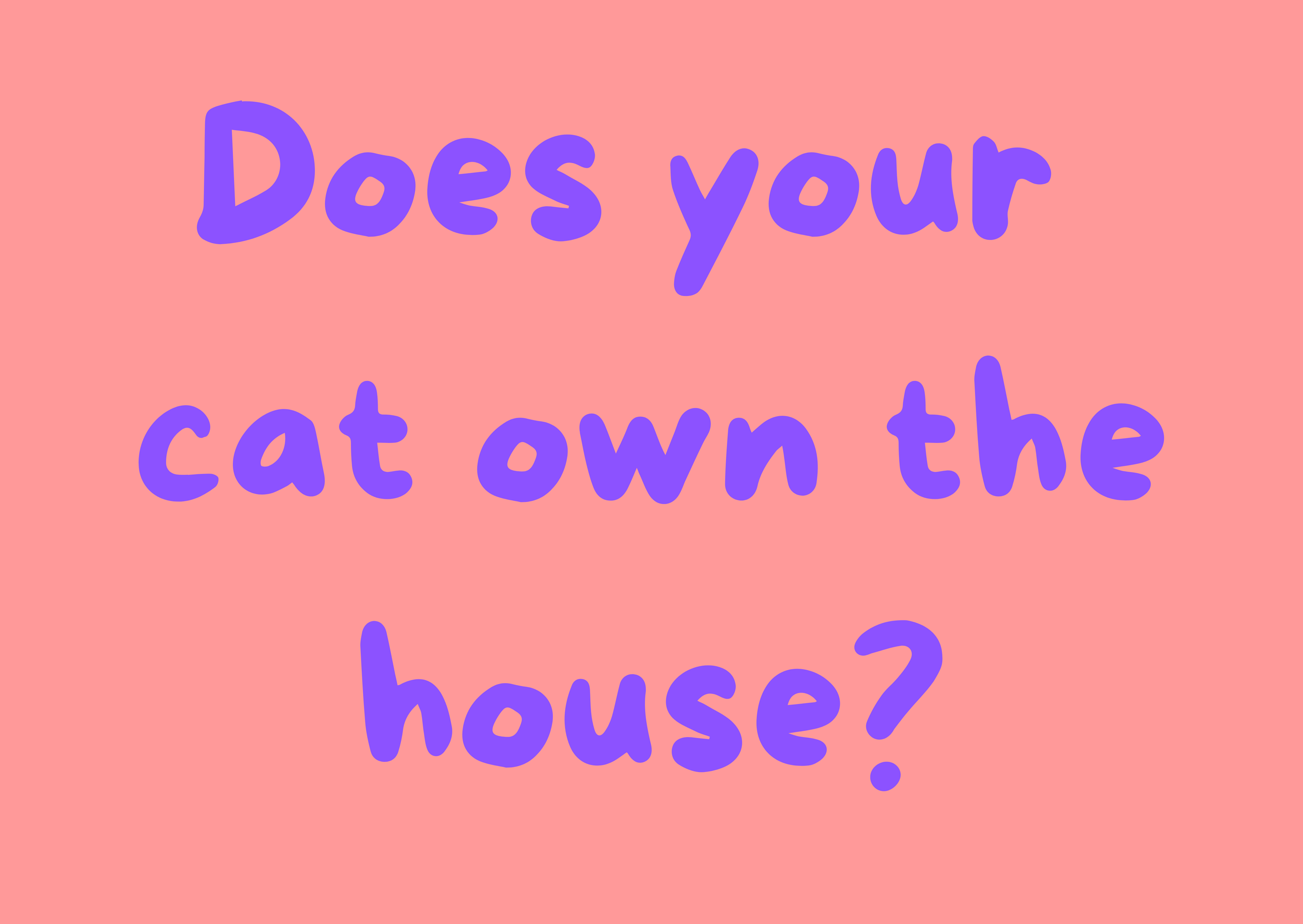 Why Do Cats Act Like They Own the House? (And How to Live With It)