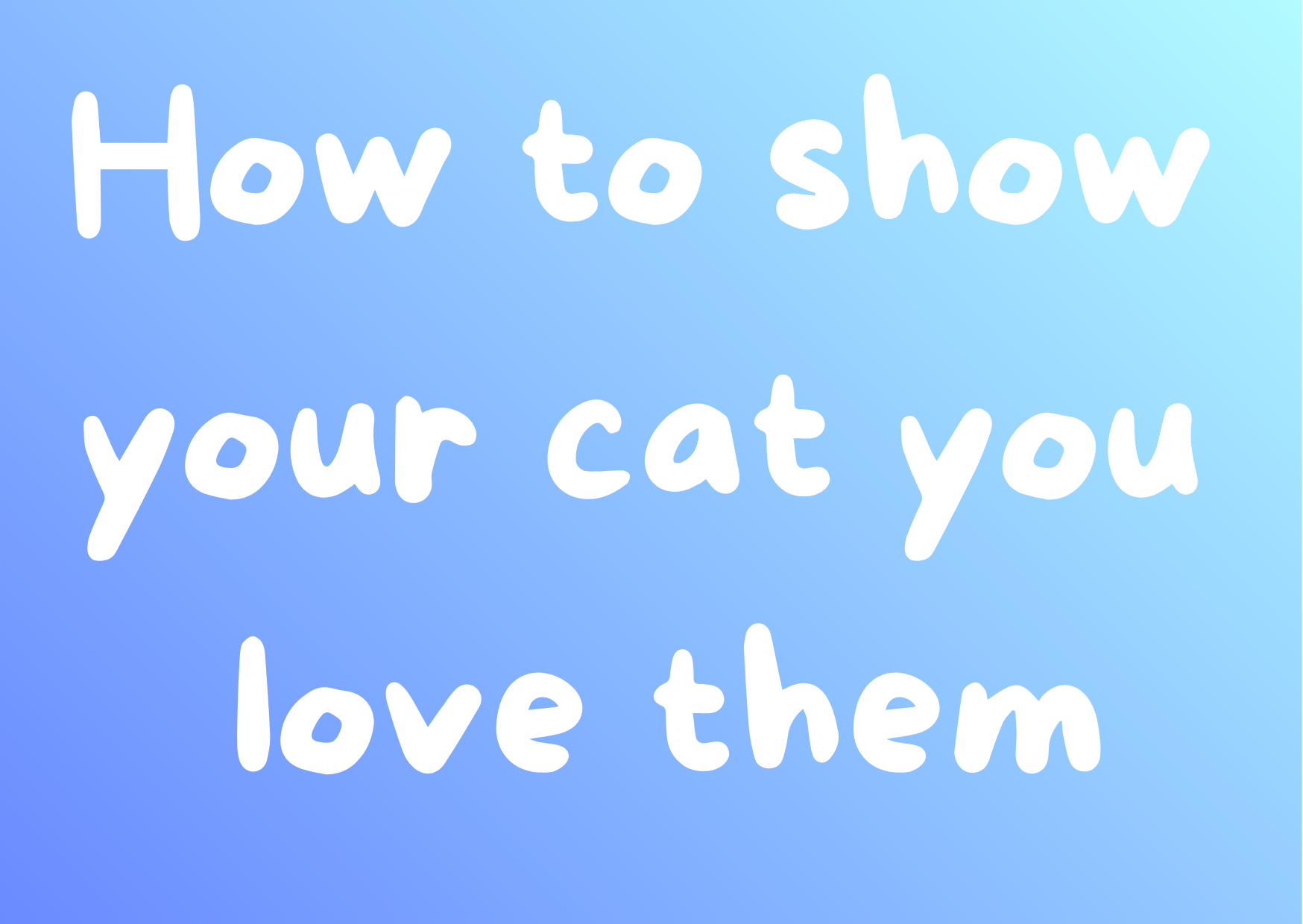 How to Show Your Cat You Love Them