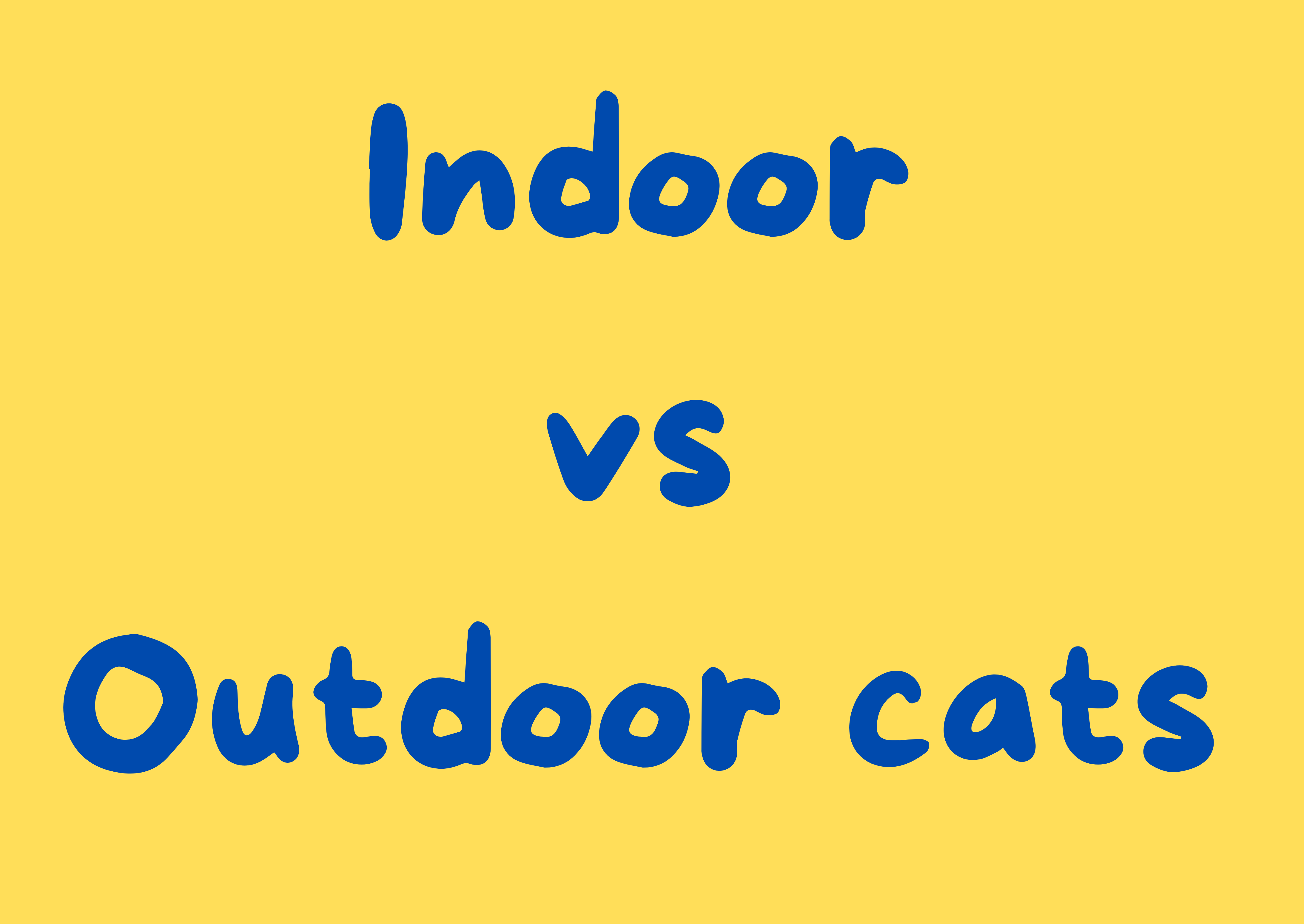 Indoor Cats vs Outdoor Cats: Which Life Is Best for Your Feline?