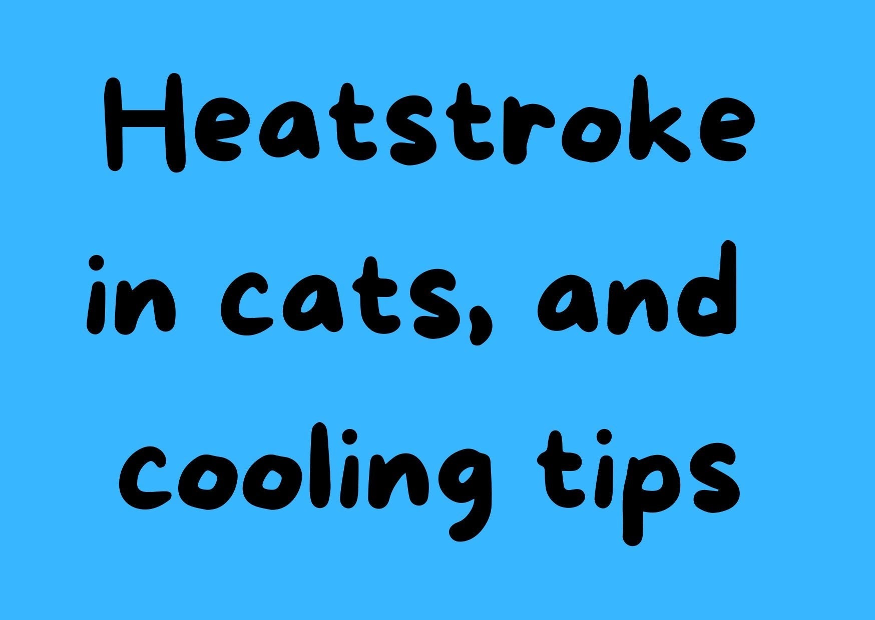 Heatstroke in Cats: Signs and Hot Weather Cooling Tips