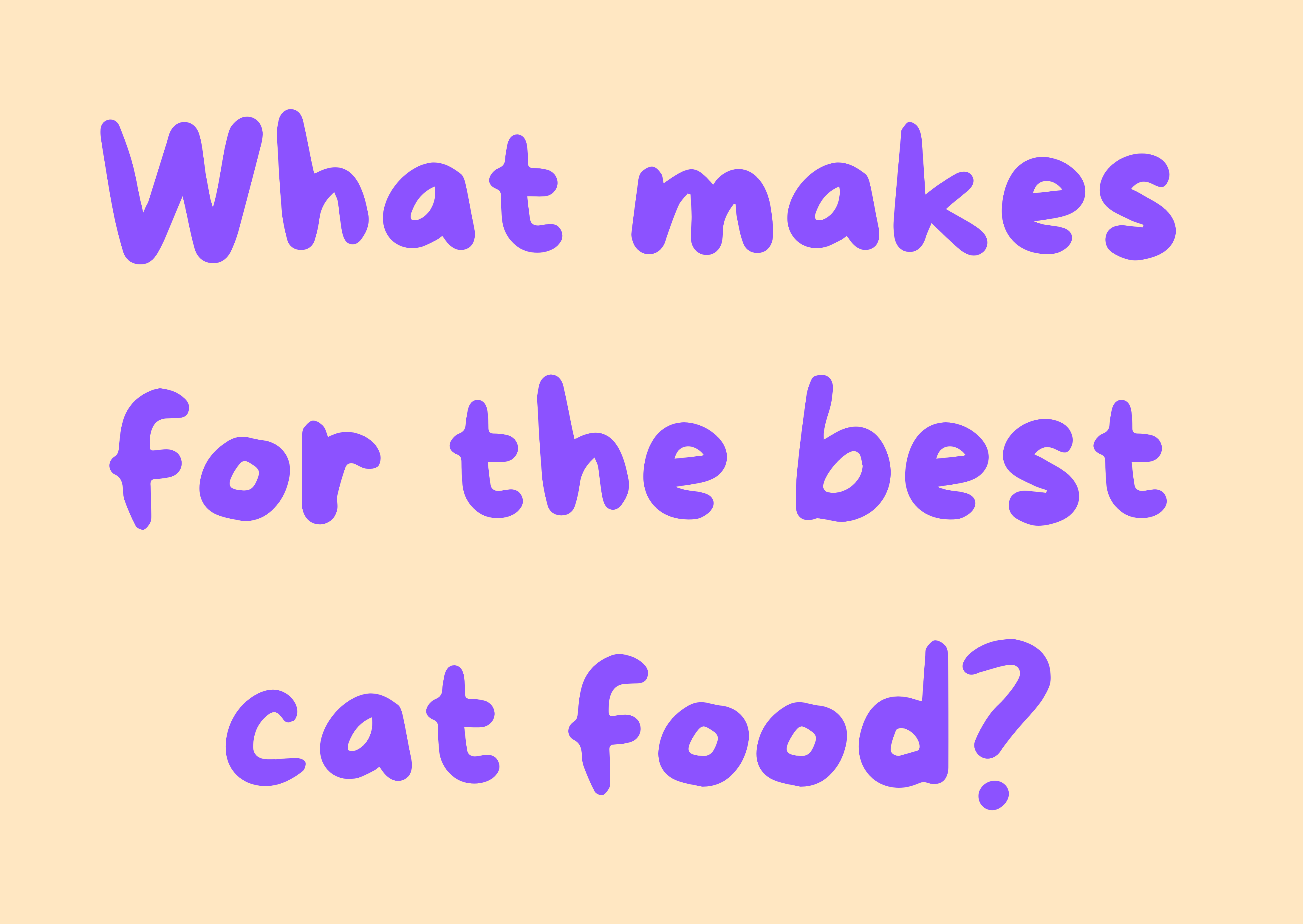What Makes for the Best & Healthiest Cat Food?