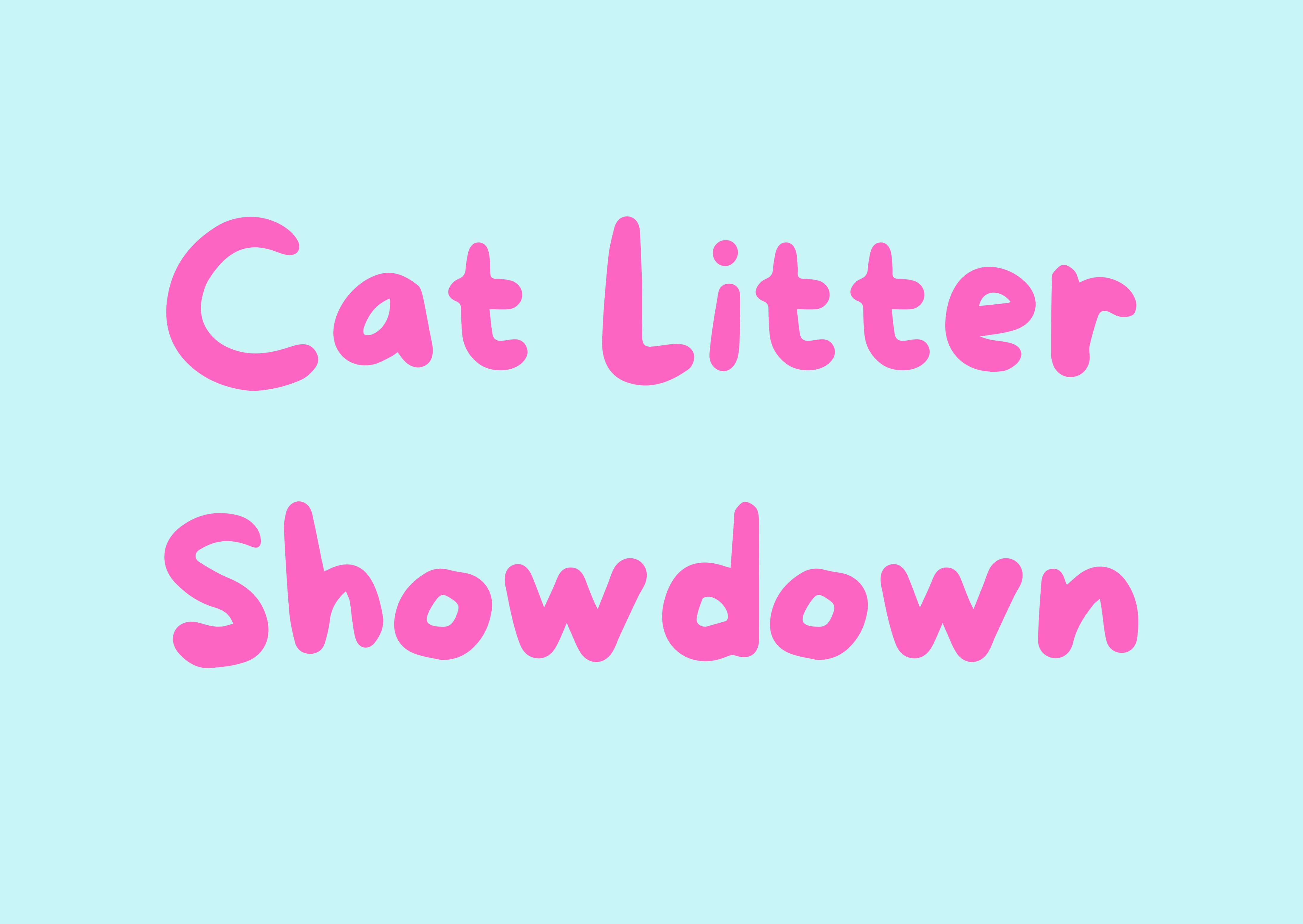 Cat Litter Showdown: What’s Best for Health (and What to Avoid)