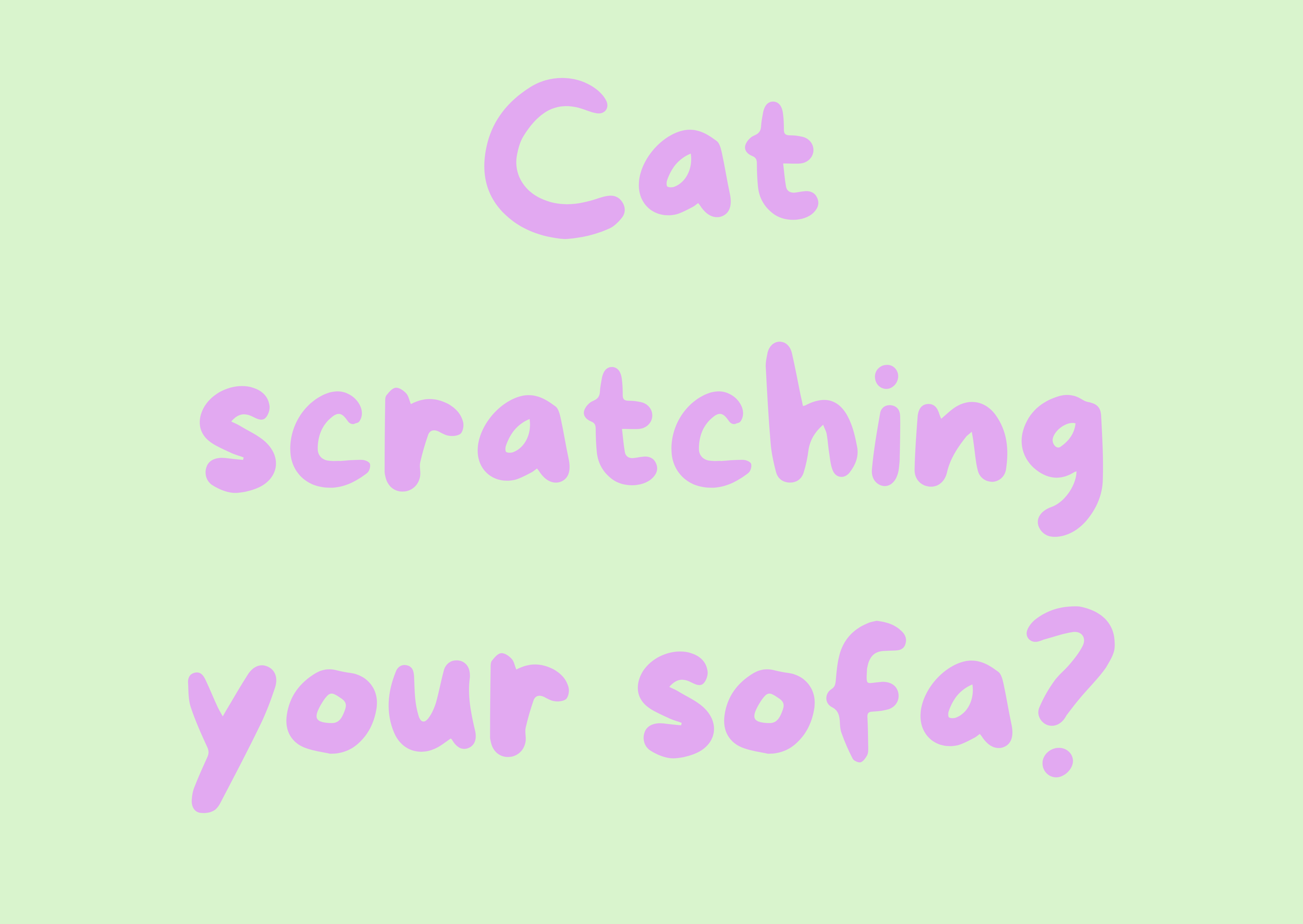 My Cat Scratches My Sofa, What To Do?