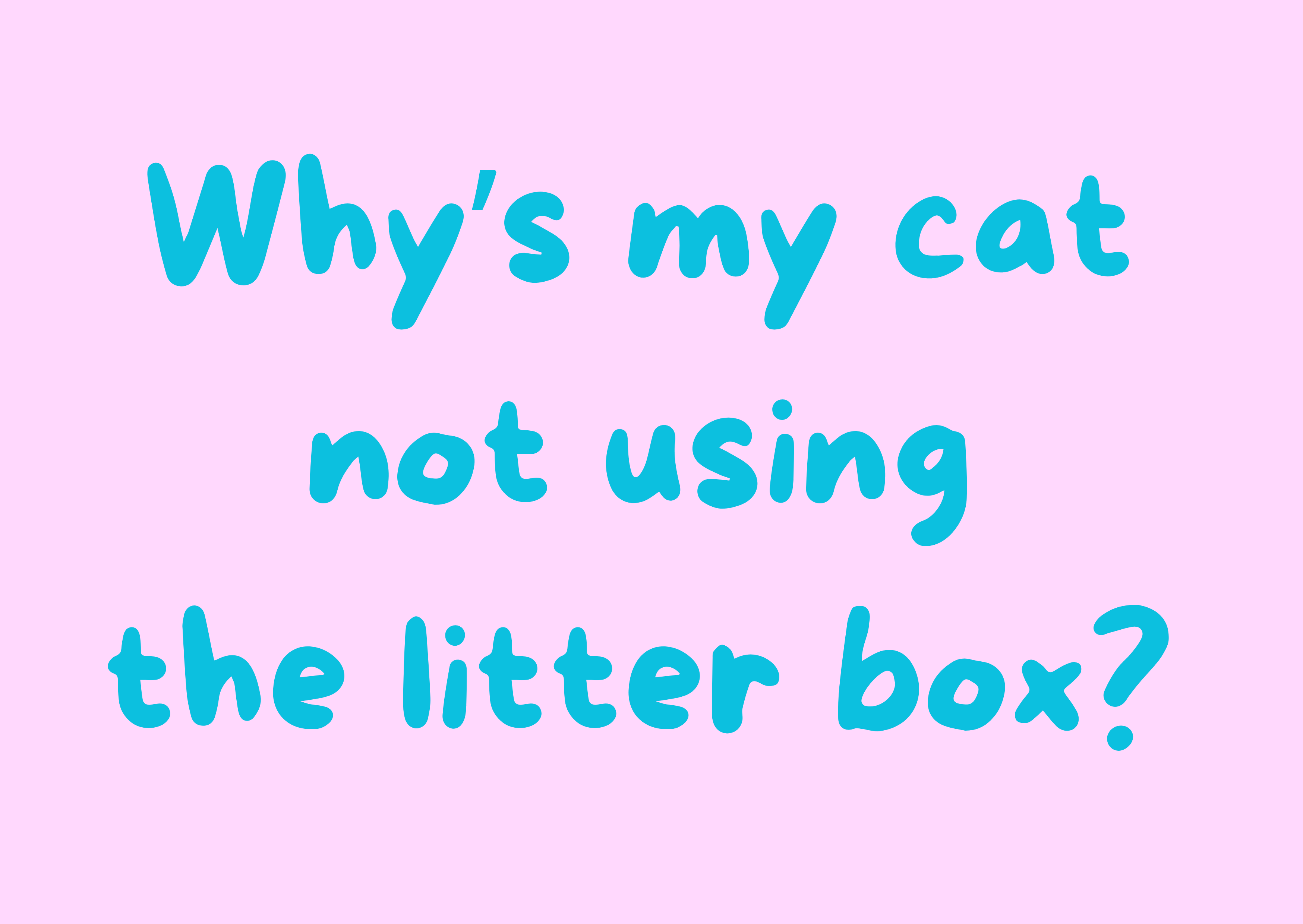 Why Is My Cat Not Using the Litter Box? Causes & Solutions