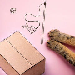 Collection image for: Bored Cat Bundle Boxes