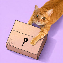 Collection image for: Mystery Enrichment Boxes