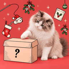 Collection image for: Cat Christmas Presents | The Catmas Shop