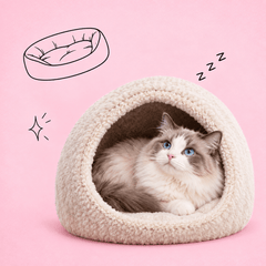 Collection image for: Cat Beds and Cat Caves