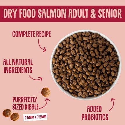 Scrumbles Adult Salmon Dry Cat Food 2.5kg Gut-Friendly Probiotics