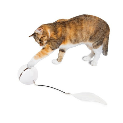 All For Paws Rolling Laser Ball Cat Toy USB Rechargeable