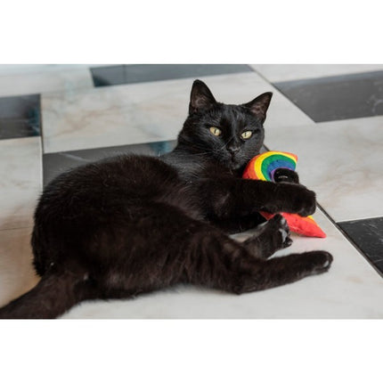 Yeoww Rainbow Cat Toy 6 Inch Plush Organic Catnip Filled