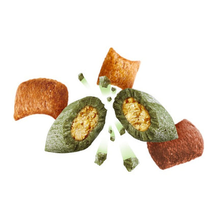 Dreamies Shakeups Rockin Roost Cat Treats with Multivitamins 55g Pack