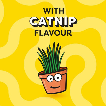 Dreamies Catnip Flavour Dual-Texture Cat Treats 350g MegaTub