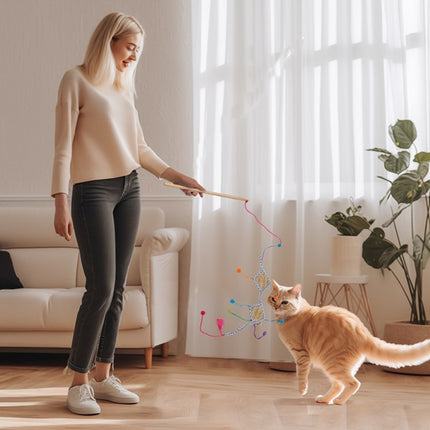 All For Paws Whisker Fiesta Wand Kite Cat Teaser Toy