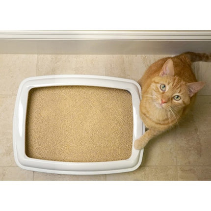 World's Best Corn Cat Litter Comfort Care 6.8kg Quick Clumping