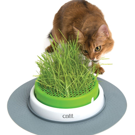 Catit Senses 2.0 Deep Grass Planter with Drainage Grid