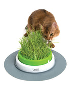 Catit Senses 2.0 Deep Grass Planter with Drainage Grid