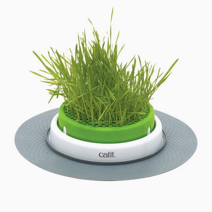 Catit Senses 2.0 Deep Grass Planter with Drainage Grid