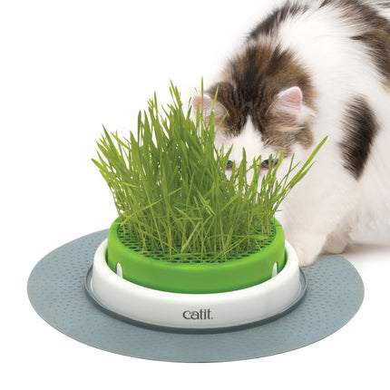 Catit Senses 2.0 Deep Grass Planter with Drainage Grid