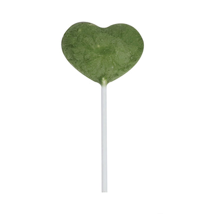 Lolliheart Chicken & Catnip Cat Treats 15 Pack