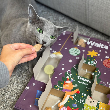Waita Freeze-Dried Christmas Advent Calendar Pet Treat