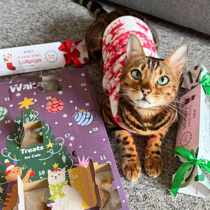 Waita Freeze-Dried Christmas Advent Calendar Pet Treat