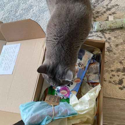 Meow Avenue Catnip Kicker