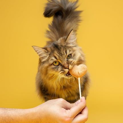 Waita Freeze-Dried Chicken Lollipops Pet Treats
