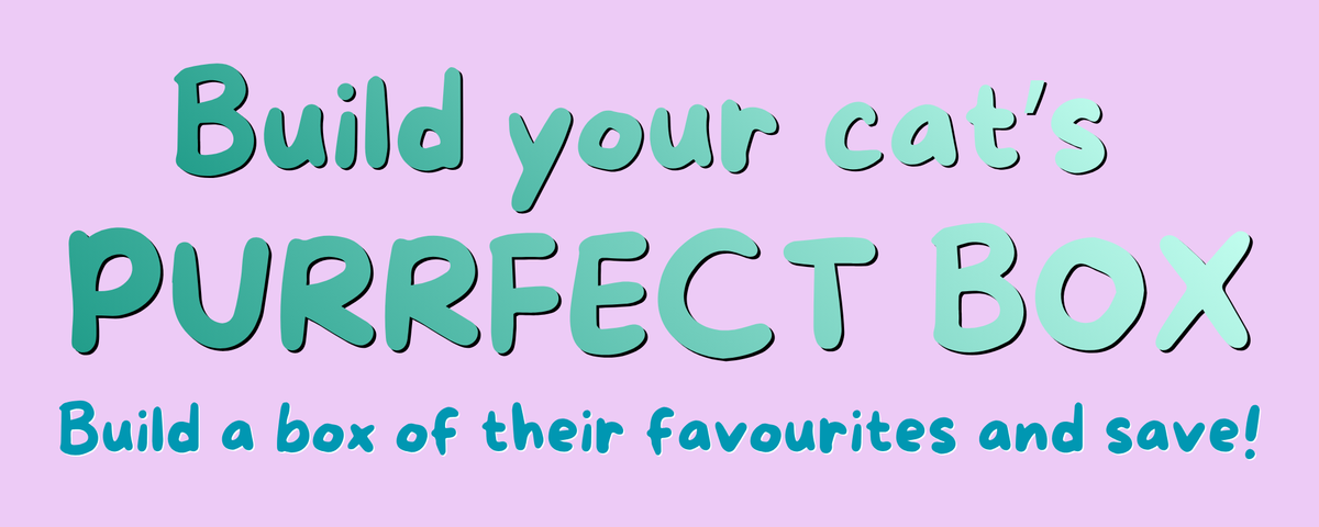 Cat Universe