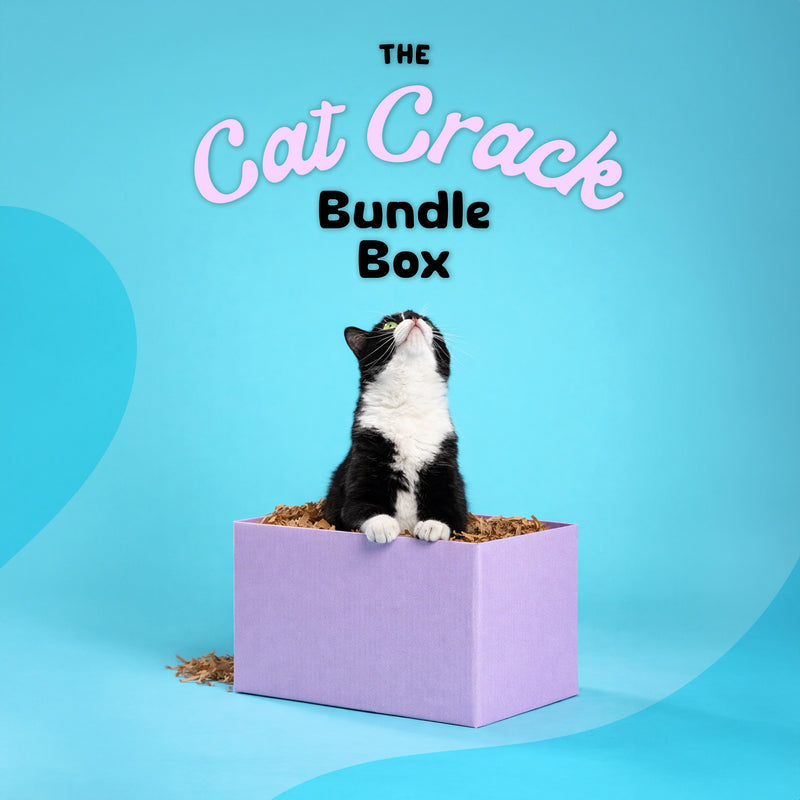 The Cat Crack Bundle Box