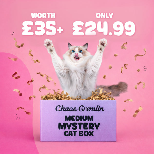 Chaos Gremlin Mystery Box