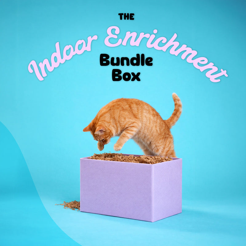 The Indoor Enrichment Bundle Box
