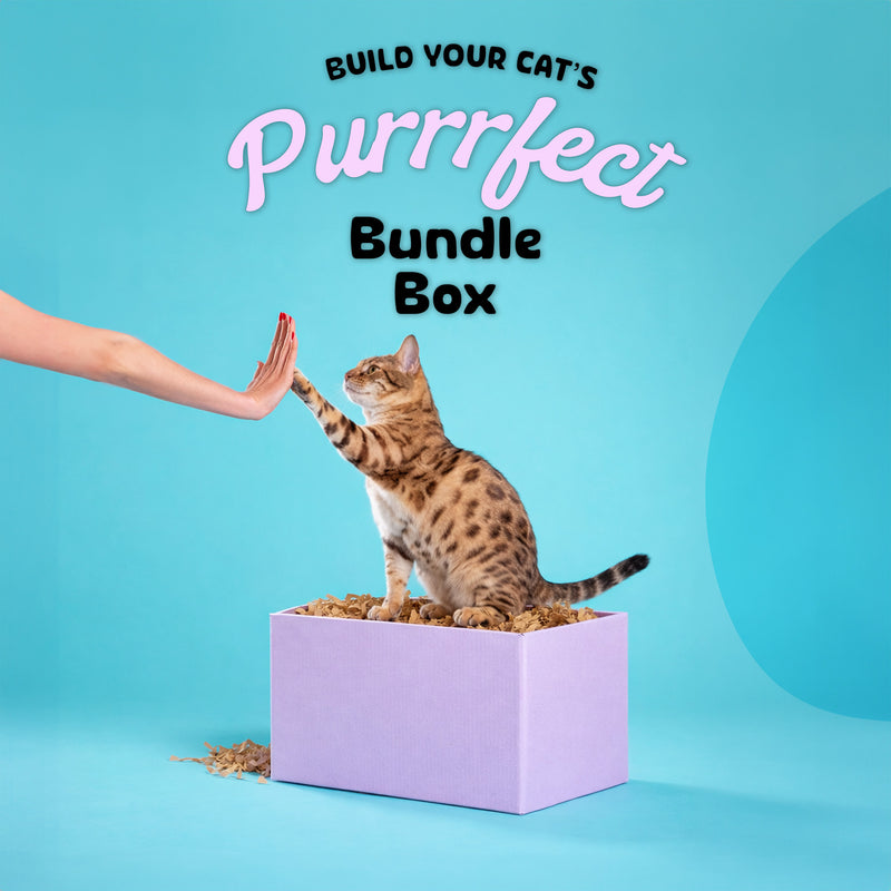 Build Your Cat's Purrfect Box
