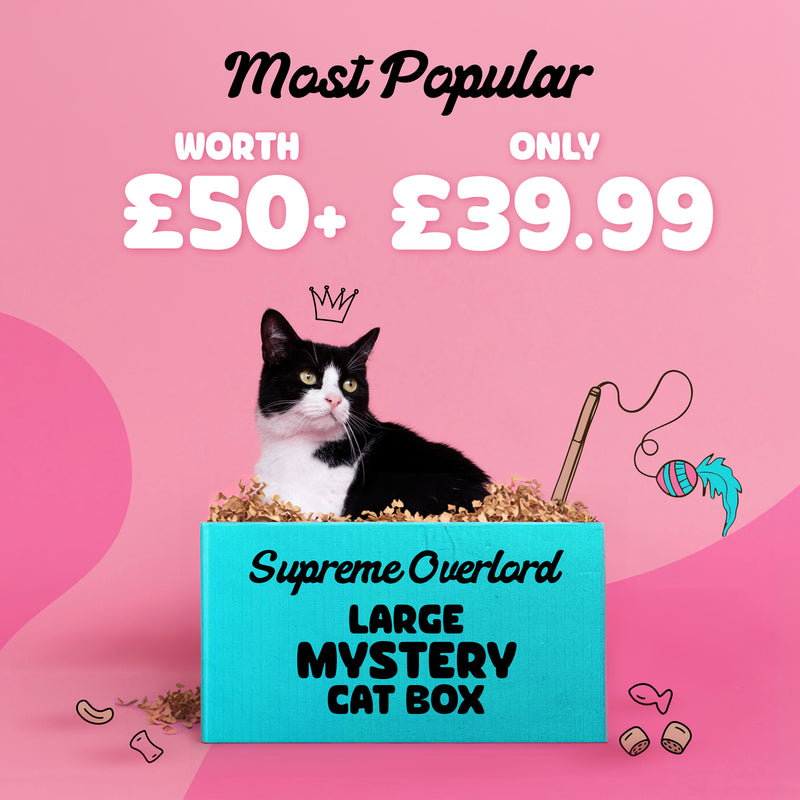 Supreme Overlord Mystery Cat Box (Large Box)