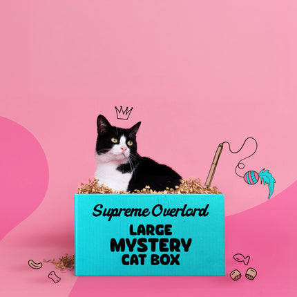 Supreme Overlord Mystery Cat Box (Toys, Treats + Gift)