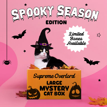PREORDER:  Supreme Overlord Spooky Edition Mystery Cat Box 🎃