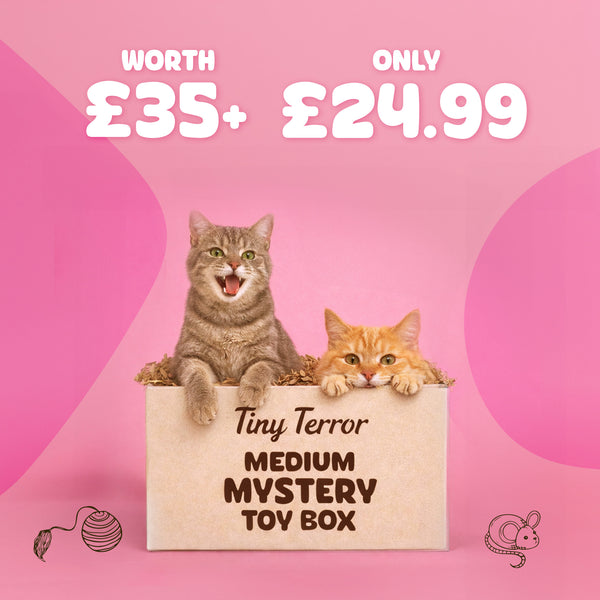 Tiny Terror Mystery Toy Box