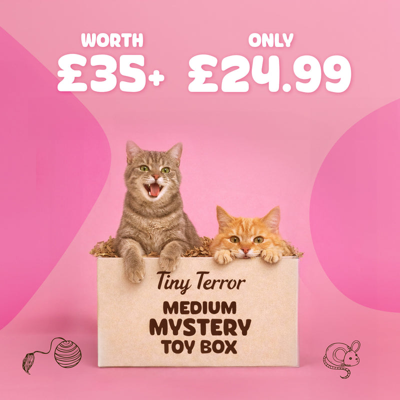 Tiny Terror Mystery Toy Box (Regular)