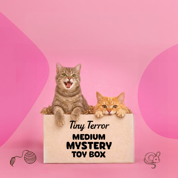 Tiny Terror Mystery Toy Box (Toys only)