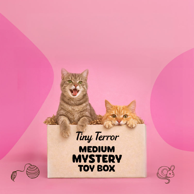 Tiny Terror Mystery Toy Box (Toys only)