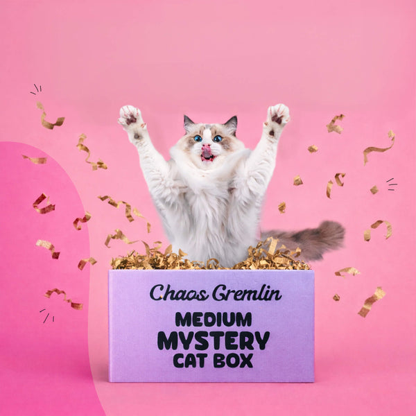 Chaos Gremlin Mystery Cat Box (Toys + Treats)