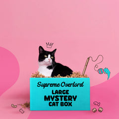 Collection image for: Halloween Cat Toys